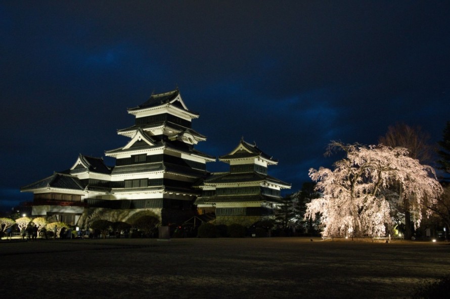 1486e0c4c16791eeb42eebf42ddc3ea1