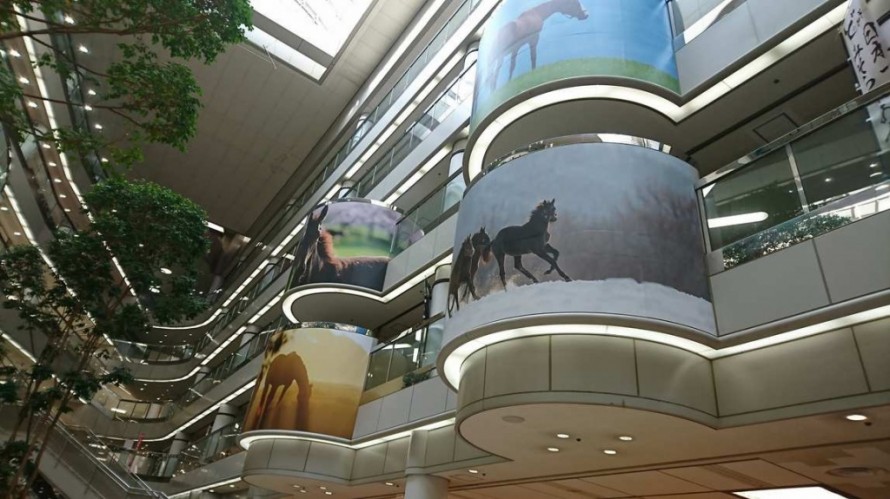 194-2