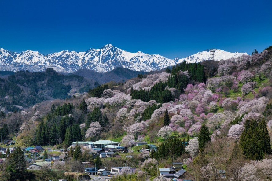 342d9d60836e1f6657c4a90f07fd1c2b