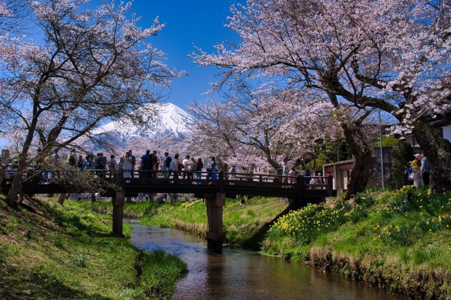 84955bdd9153841fd7476f1fca81d171