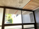 IMG_0269
