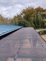 IMG_0692-e1764059853275