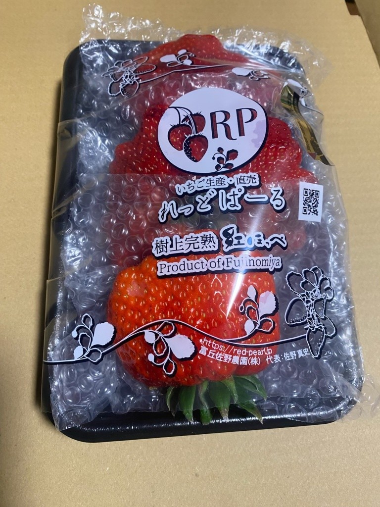 IMG_23321-e1768636463782