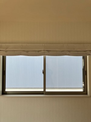 IMG_2972 IMG_2972