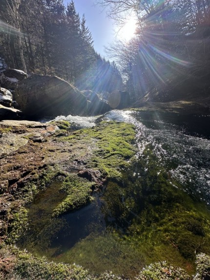 IMG_3861-e1773124978920