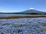 IMG_7594