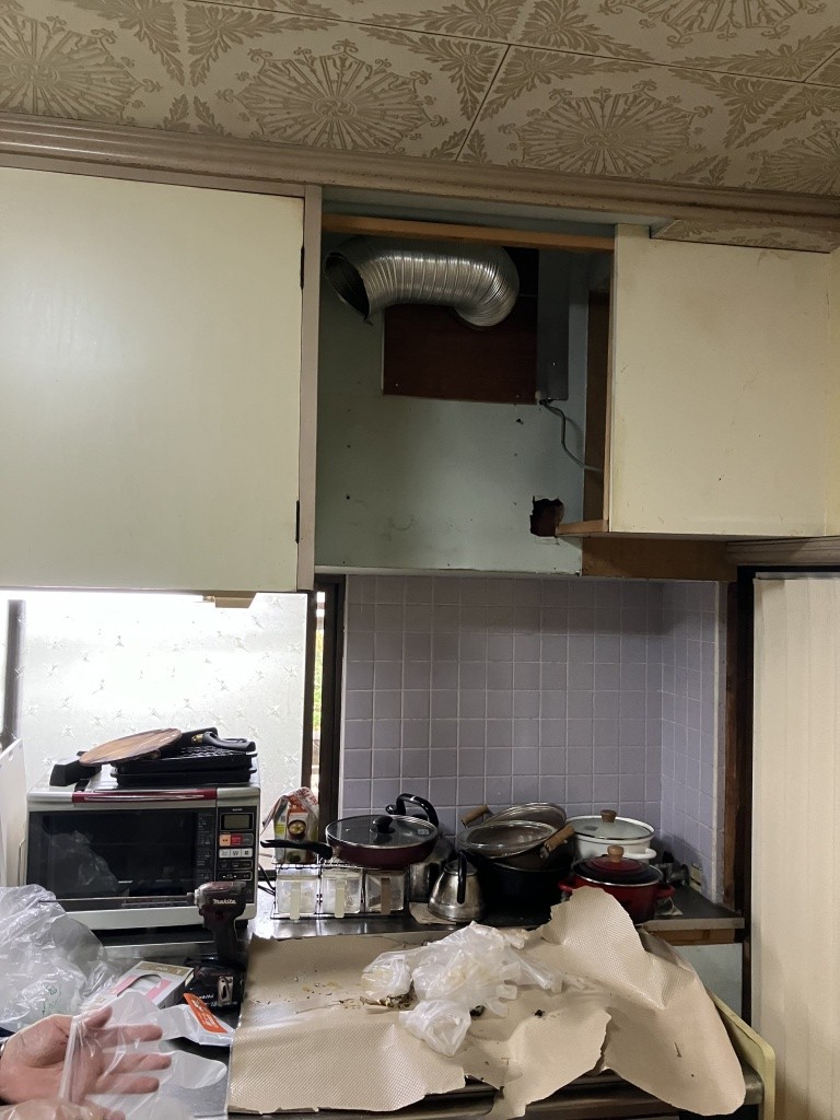 IMG_7767-e1750925360165