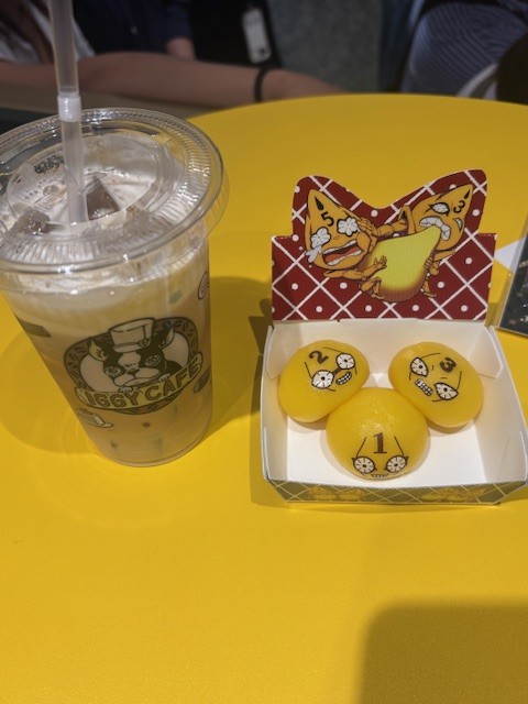 IMG_8248-e1776640830187