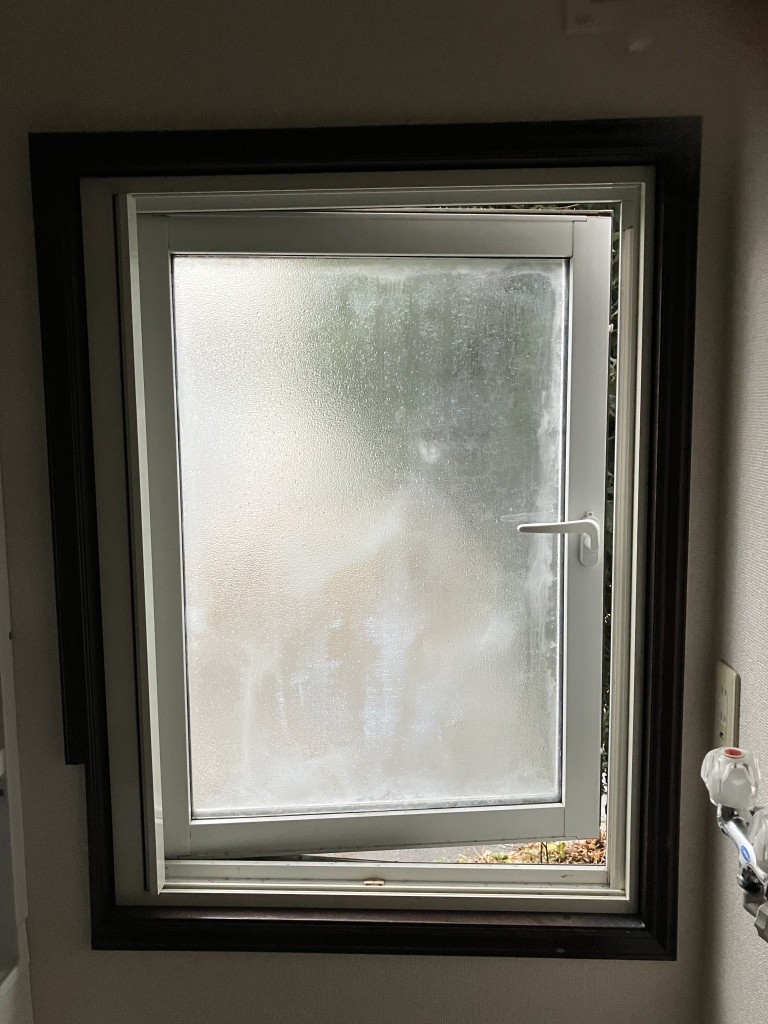 IMG_8349-e1766818352983