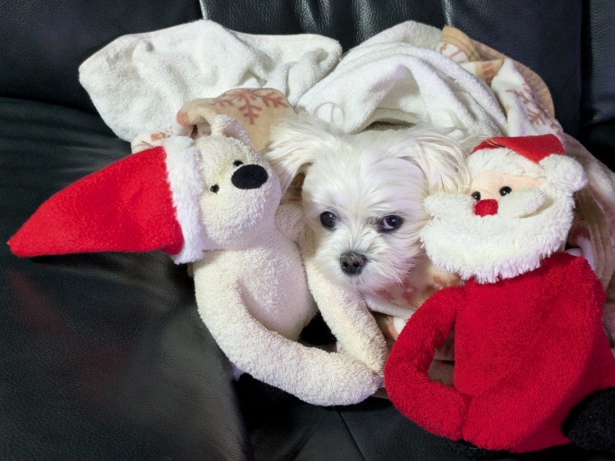 PXL_20251228_222215618