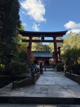 image0-11-e1765521733618