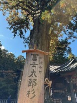 image19-e1765521760763